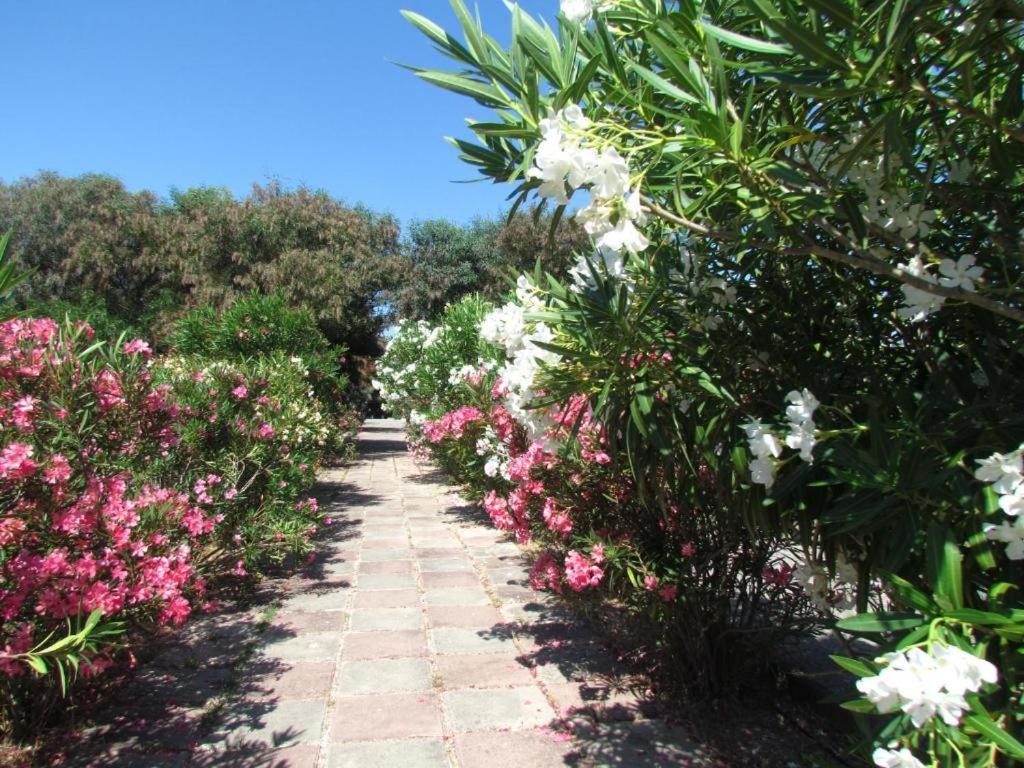 Happy Camp Mobile Homes In Camping Village Baia Paradiso Badesi Exterior photo